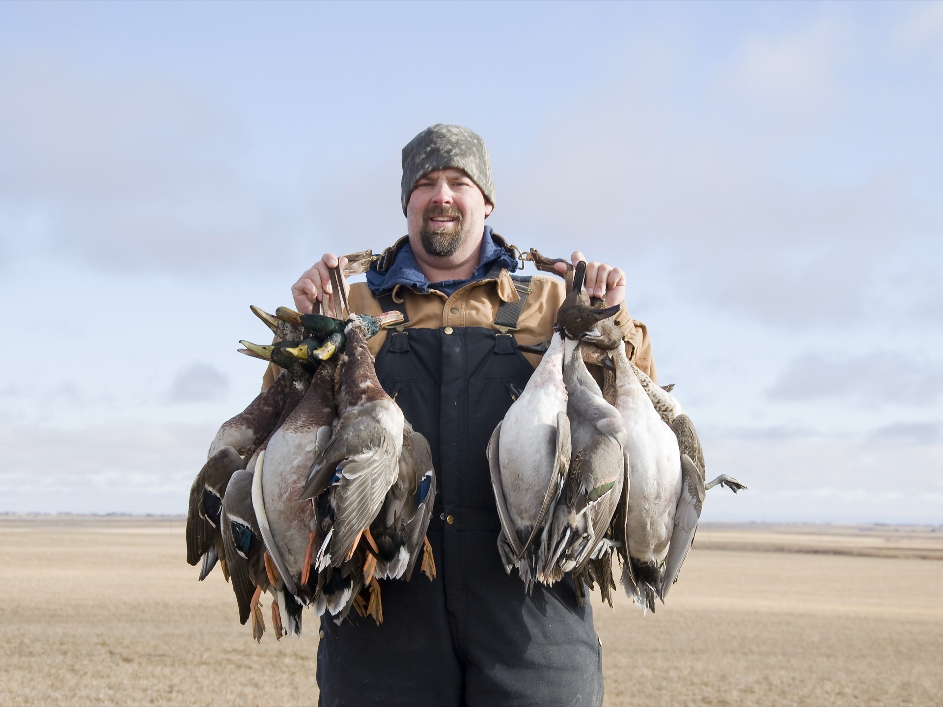 Mid-Atlantic Snow Goose Conservation Order