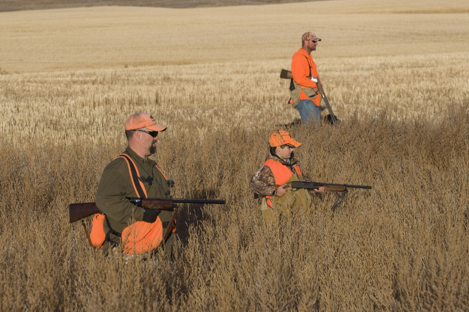 Western Kansas Ring-Necked Pheasant & Quail